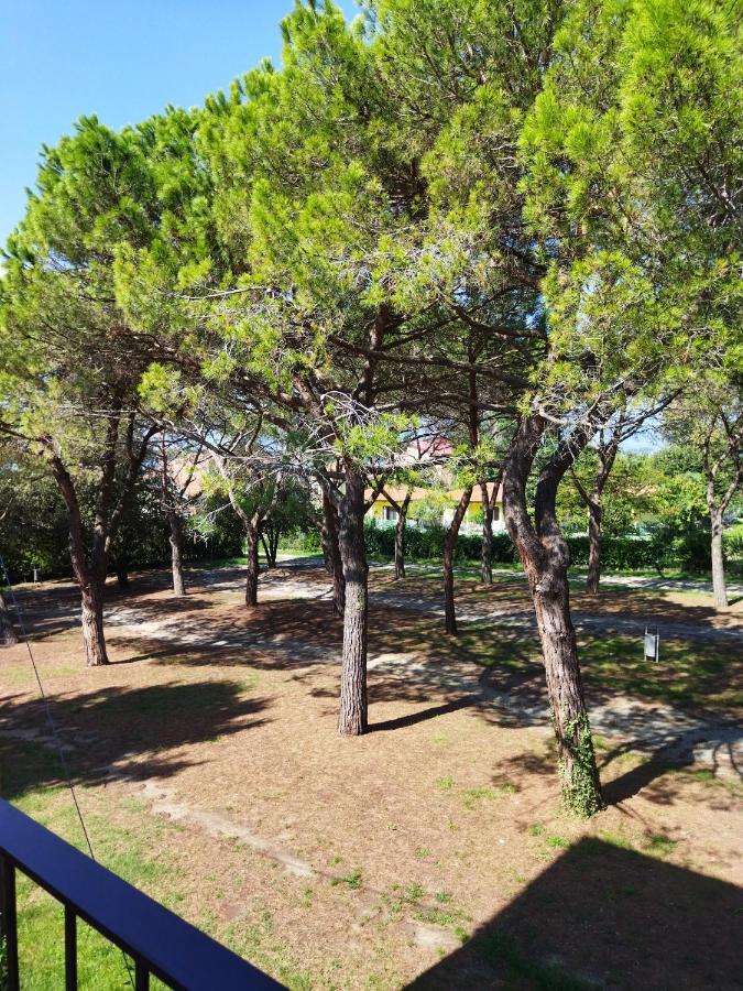 Appartamento Doppi Bagni Sei Posti Letto Viverone Kültér fotó