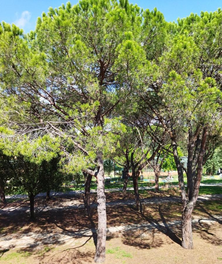 Appartamento Doppi Bagni Sei Posti Letto Viverone Kültér fotó